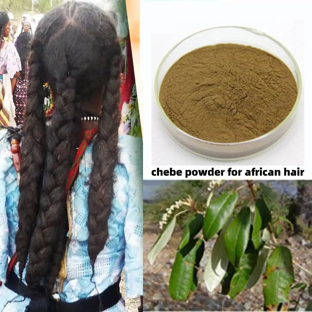 Chebe Powder from Chad 100% Natural Hair Regrowth, Improves Hair Density, Nourishes Follicles, Moisture Curly Hair Products100G